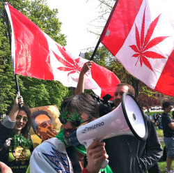 Cannabis Champion Matt Mernagh at the GMM.